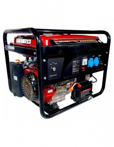 Generator curent electric Weima...