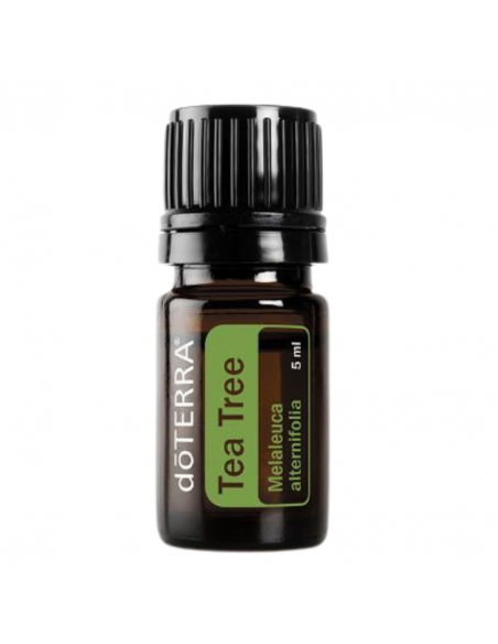 Ulei esential Melaleuca (Tea Tree) 5 ml DoTERRA