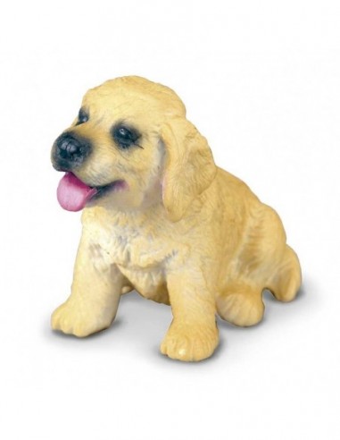 Golden Retriever Pui S Collecta