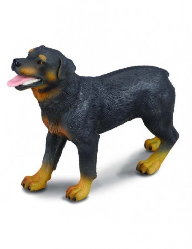 Rottweiler - Collecta