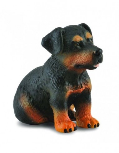 Catelus Rottweiler - Collecta