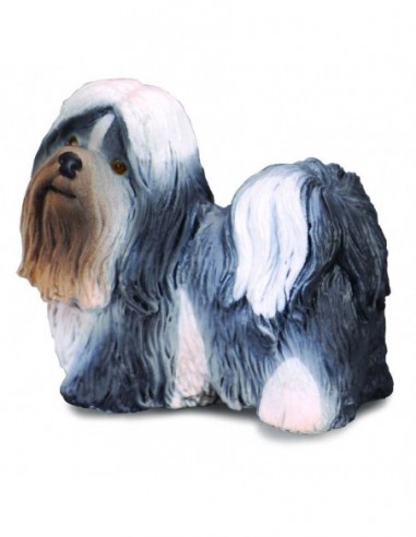 Shih Tzu - Collecta