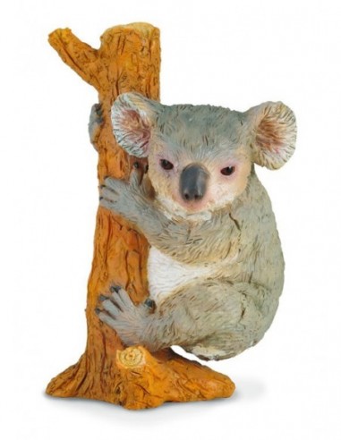 Koala - Collecta