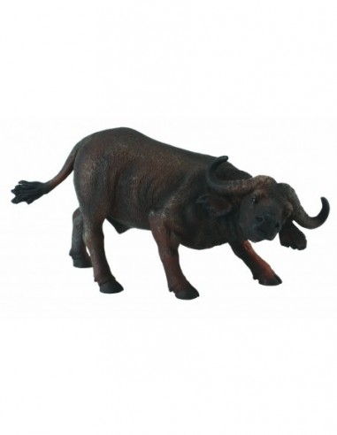 Bivol african - Collecta