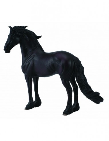 Armasar Friesian - Collecta