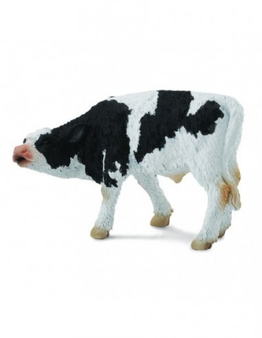 Friesian Pui - Collecta