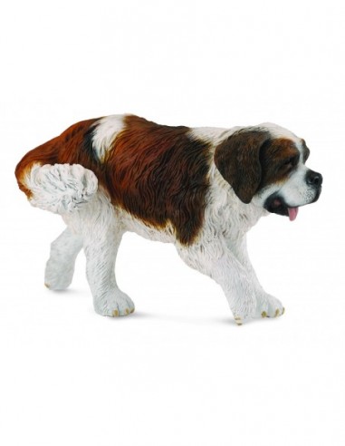 Saint bernard - Collecta