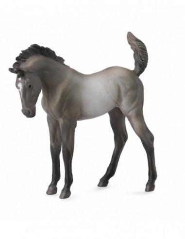 Mustang - Grulla manz