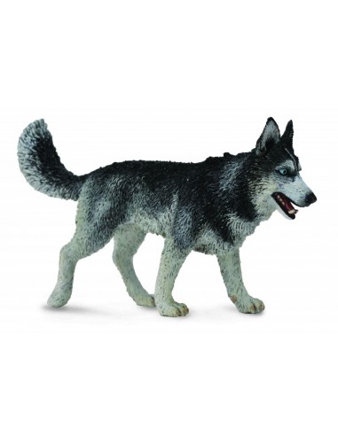 Figurina Caine Husky Siberian L Collecta