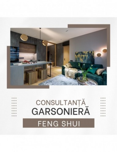 Feng Shui Analiza Garsoniera