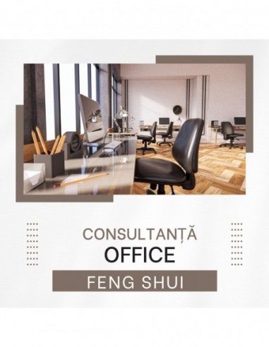 Feng Shui Analiza Office-uri