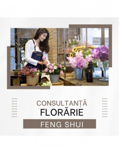 Feng Shui Analiza Florarie