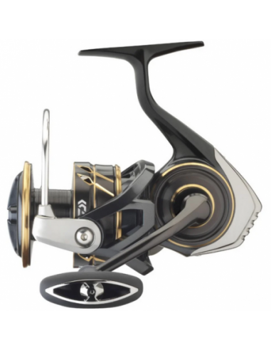 Mulineta Daiwa Caldia SW