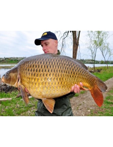 Boilies Select Baits Hot Fish +...