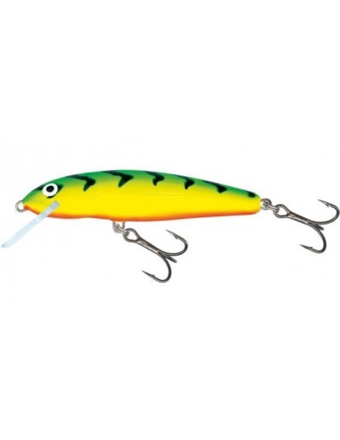 Vobler Salmo Minnow M7F GT 7cm 6g