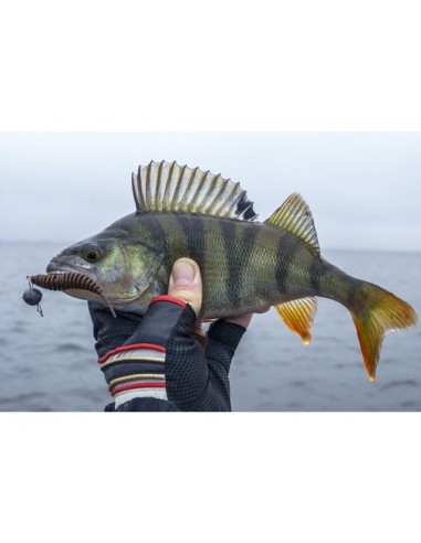 Grub FishUp Tanta, 046 Lemon, 5cm,...