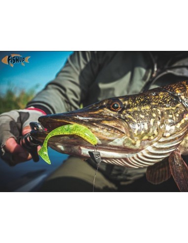 Shad FishUp Wizzle Shad, Bluegill...