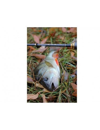 Grub FishUp Fancy Grub, Lemon, 6.3cm,...