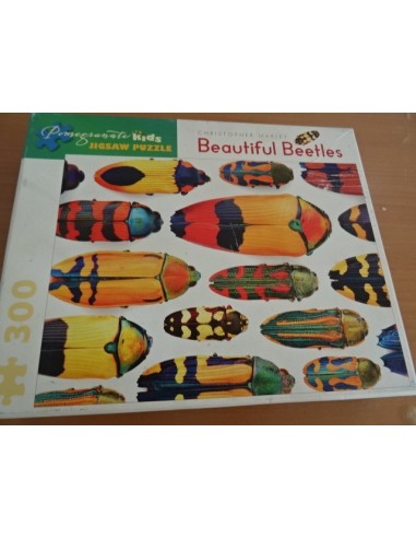 Puzzle 300 piese Beautiful Beetles