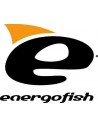 Energo Team